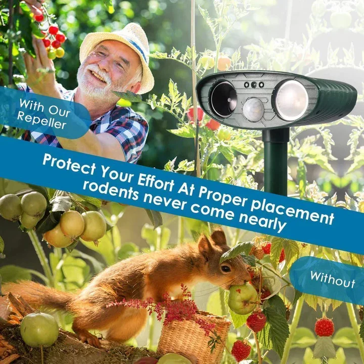 Solar Powered Ultrasonic Chipmunk Repeller