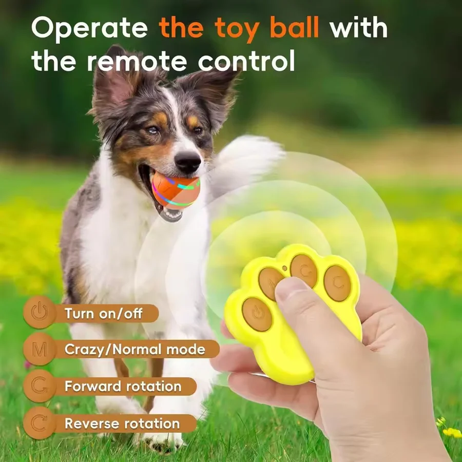 Interactive Dog and Cat Ball Toy