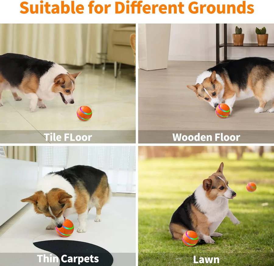 Interactive Dog and Cat Ball Toy