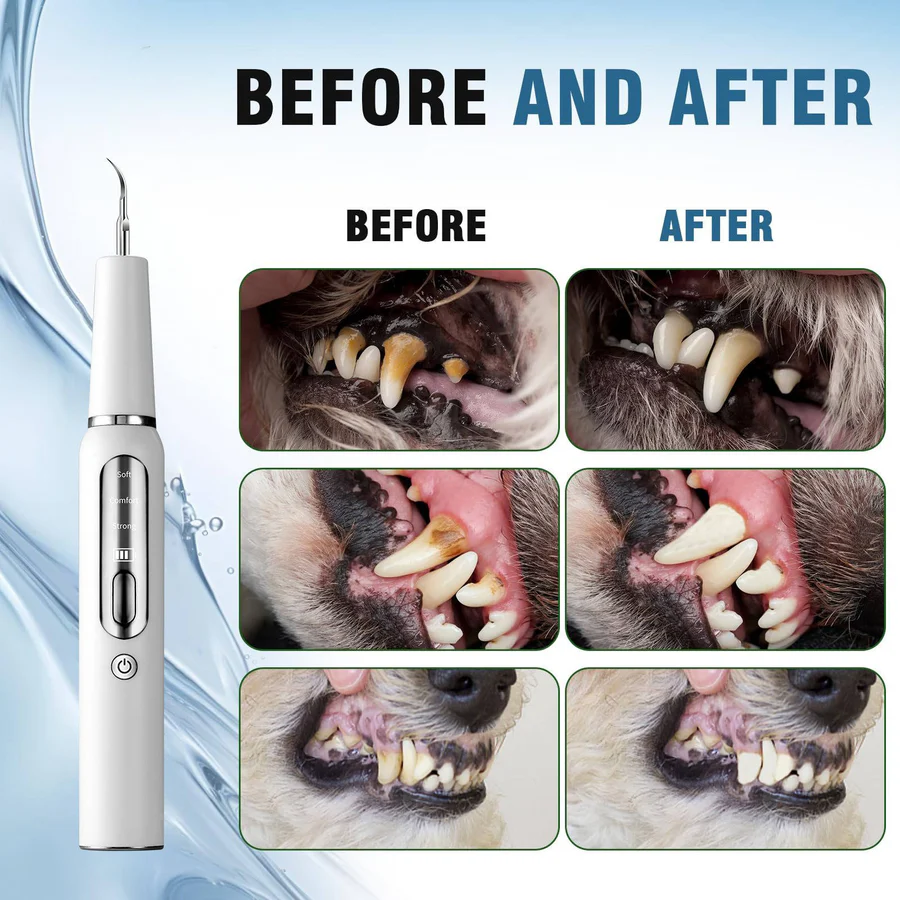 Dog Plaque, Tartar & Calculus Remover