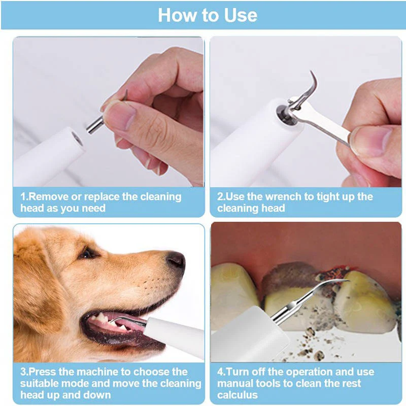 Dog Plaque, Tartar & Calculus Remover
