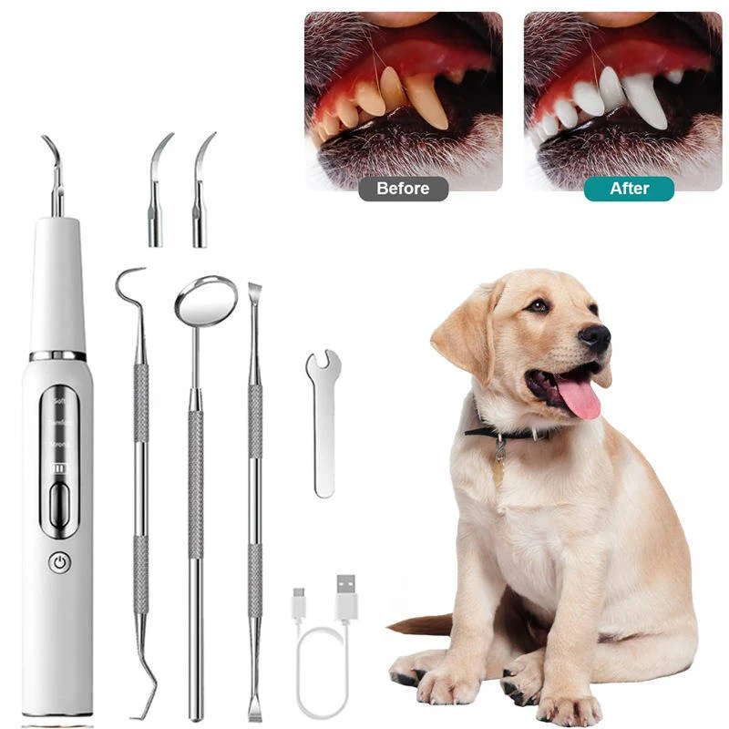 Dog Plaque, Tartar & Calculus Remover