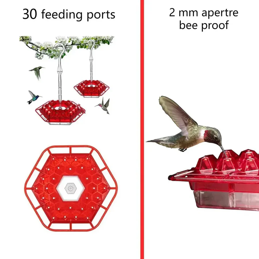 Hanging Hummingbird Feeder Leak Proof Design with Ant Protection & Perch