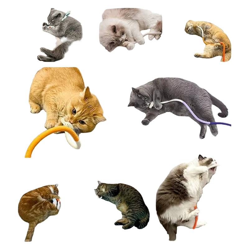 Cat Chew Toys for Playful Kittens