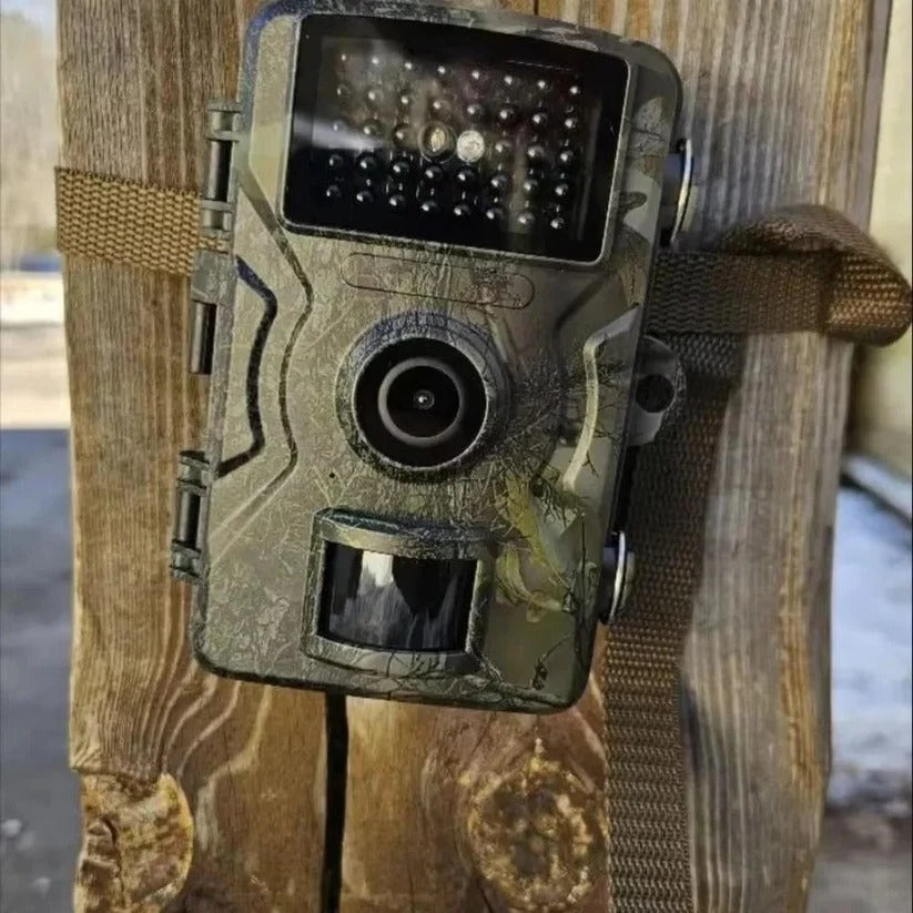 Night Vision Outdoor Wildlife Animal Camera