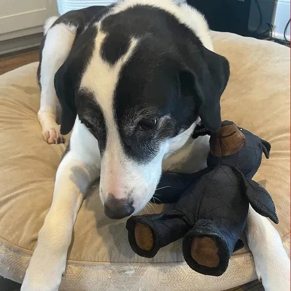 Chew Resistant Interactive Bear Dog Toys for Heavy Chewers