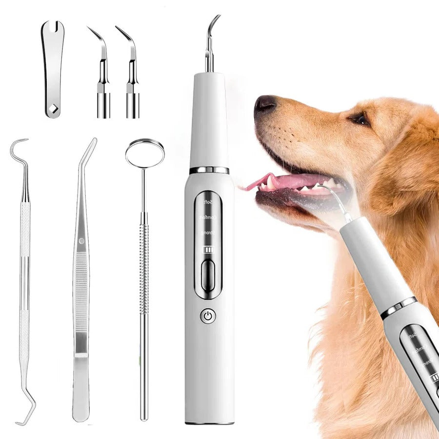 Dog Plaque, Tartar & Calculus Remover