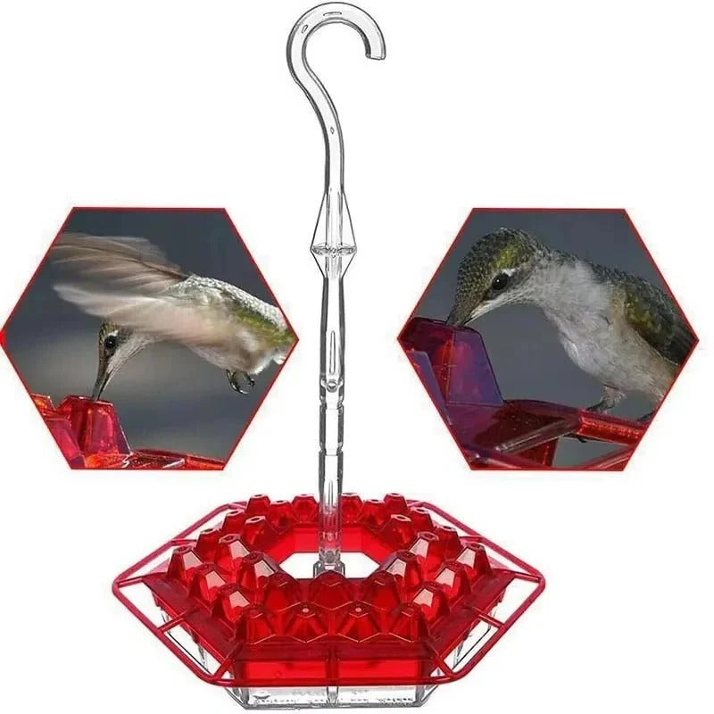 Hanging Hummingbird Feeder Leak Proof Design with Ant Protection & Perch