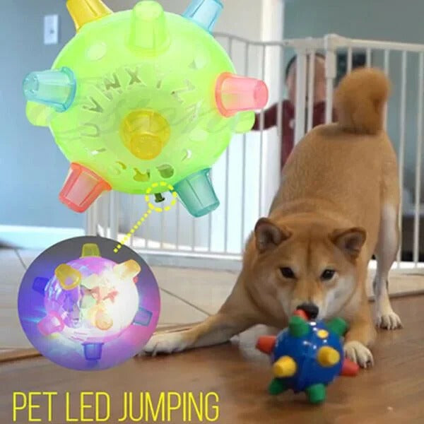 Jumping Activation Ball for Dogs, Interactive Bouncing Toy