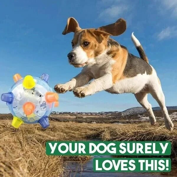 Jumping Activation Ball for Dogs, Interactive Bouncing Toy