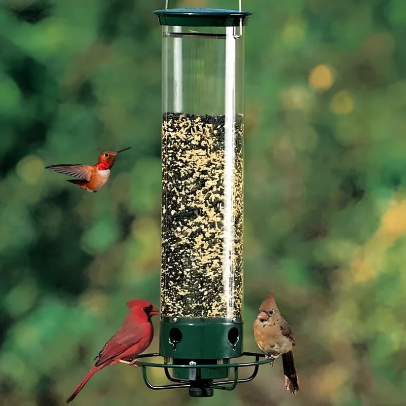 Weather Resistant Squirrel Proof Bird Feeder for Outdoor Use