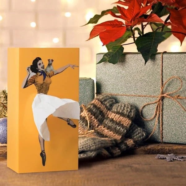 Creative Flying Skirt Tissue Holder for Living Room and Office