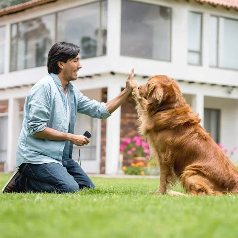 Ultrasonic Bark Deterrent for Dogs, Humane Outdoor Sound Device