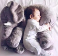 Baby Elephant Cuddle Pillow