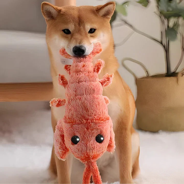 Floppy Lobster Dog Toy, Interactive Pet Toy