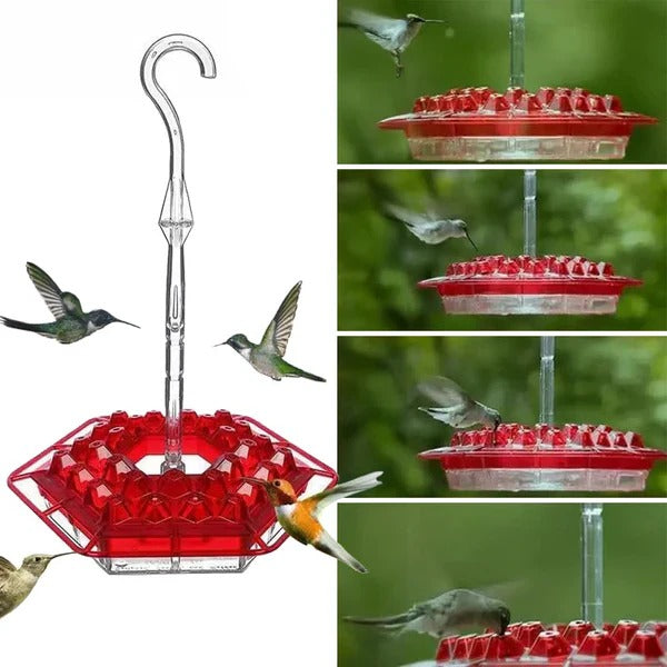 Outdoor Hummingbird Feeder with Ant Moat Feature
