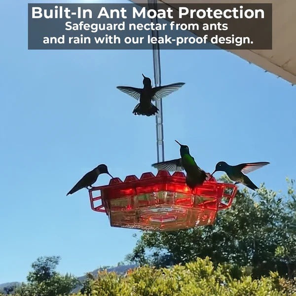 Outdoor Hummingbird Feeder with Ant Moat Feature