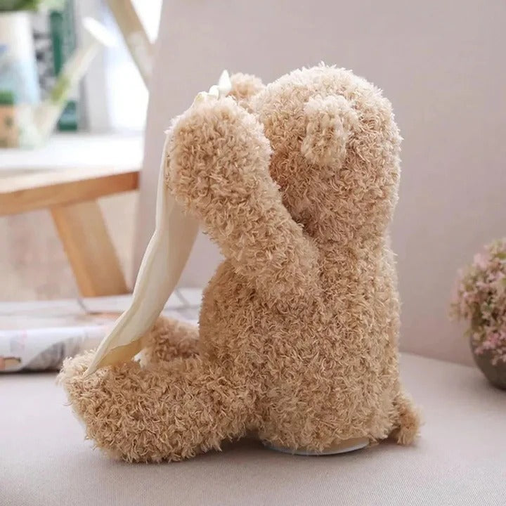 Peek A Boo Teddy Bear Plush Toy