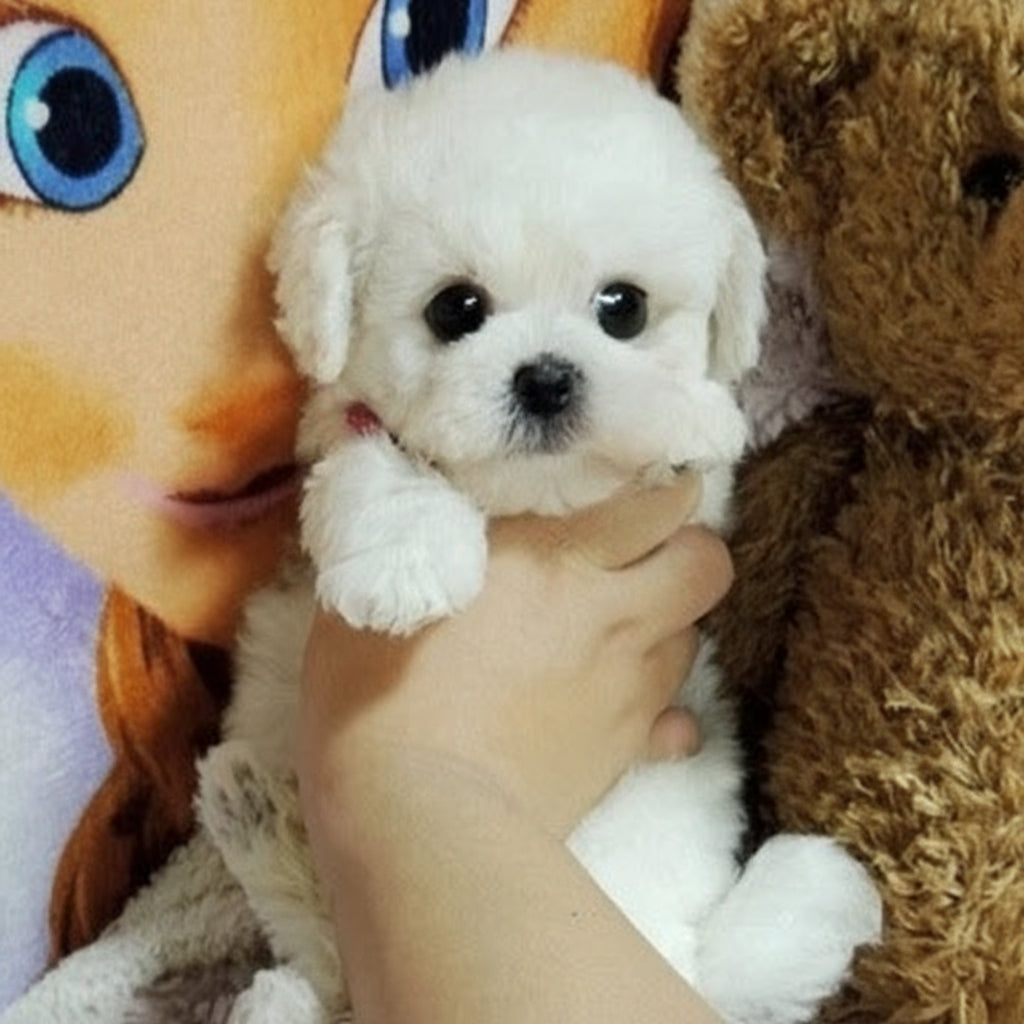 Puppy Plush Toy with Synthetic Fur and Weighted Filling