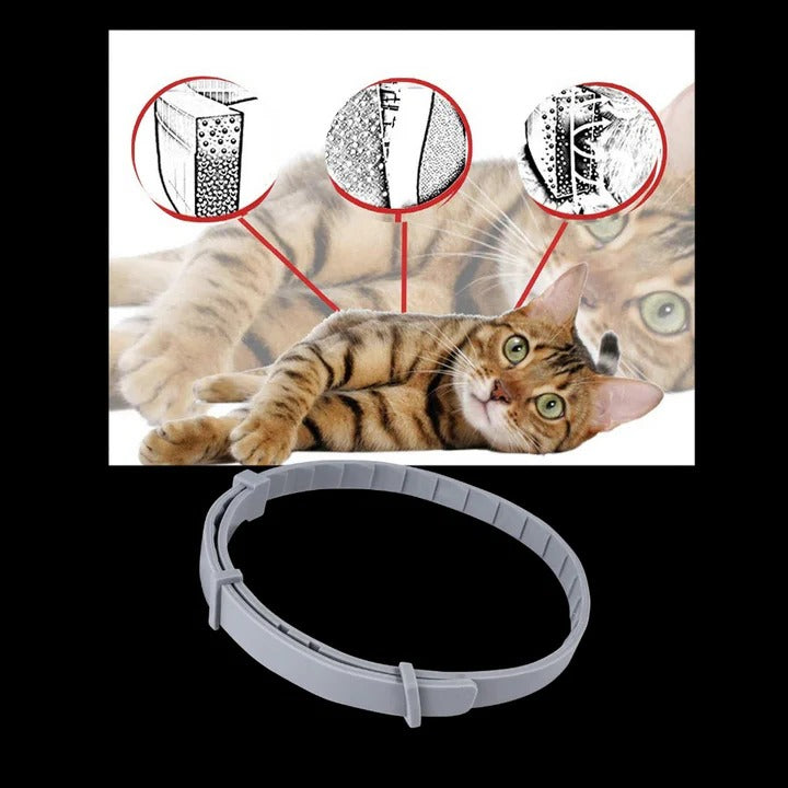 Adjustable Pet Collar for Dogs and Cats with Pest Deterrent