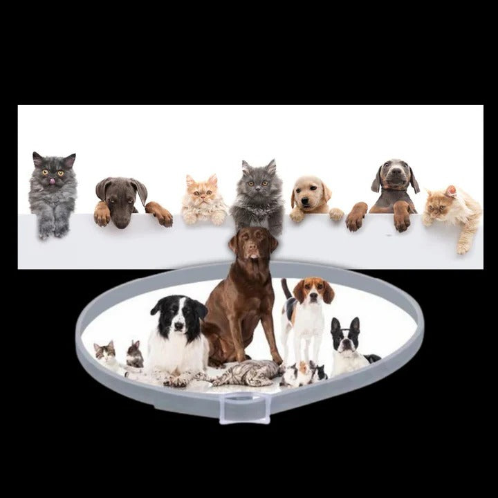 Adjustable Pet Collar for Dogs and Cats with Pest Deterrent