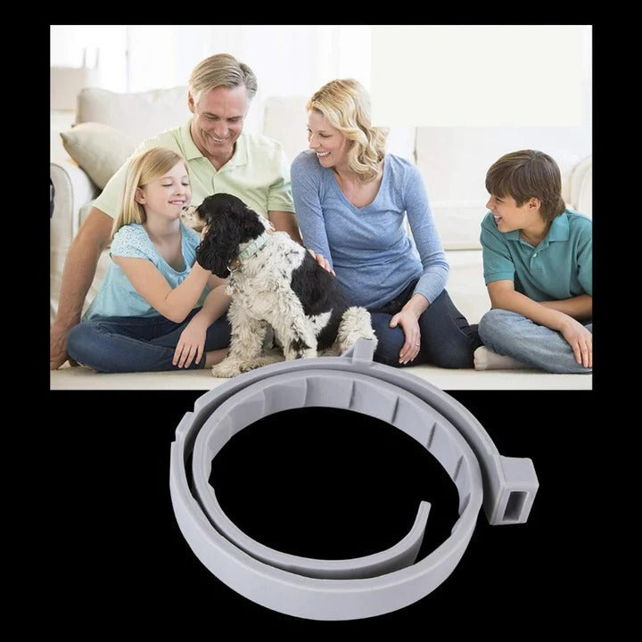 Adjustable Pet Collar for Dogs and Cats with Pest Deterrent
