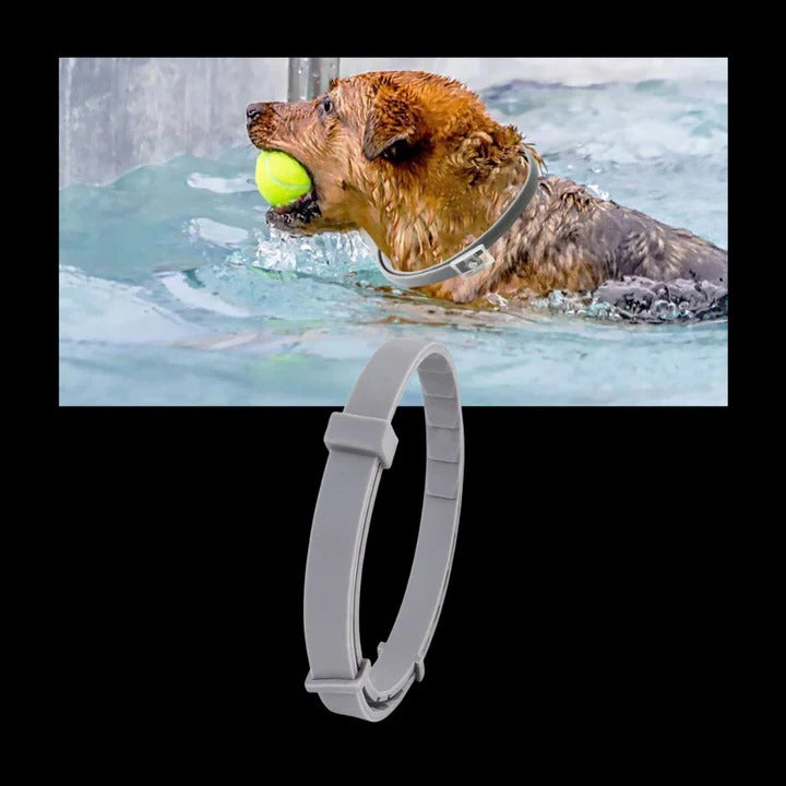 Adjustable Pet Collar for Dogs and Cats with Pest Deterrent