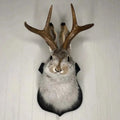 Hanging Jackalope Wall Art