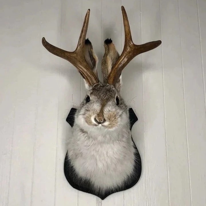 Hanging Jackalope Wall Art