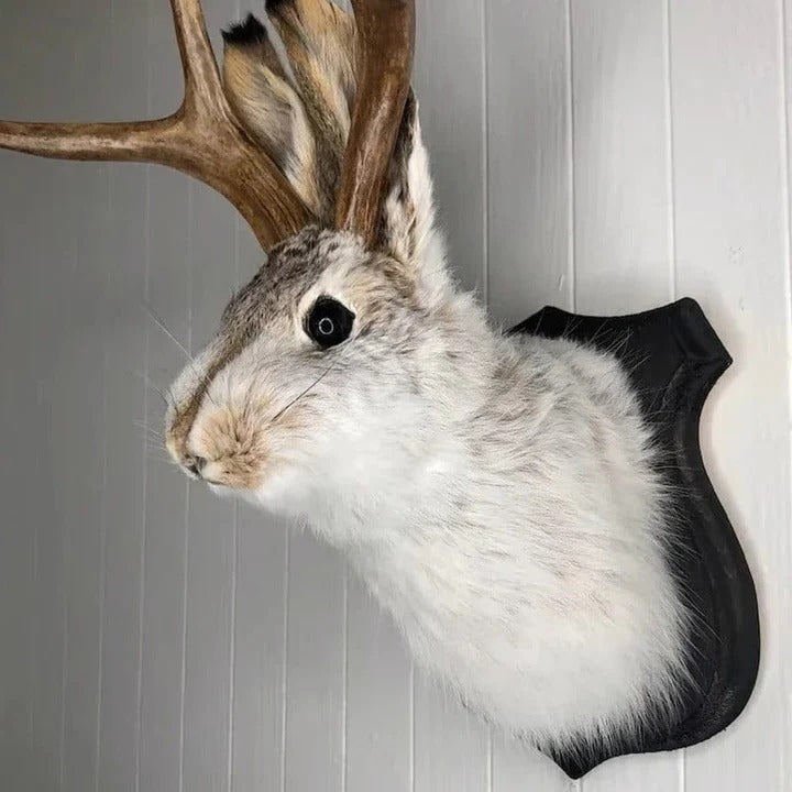 Hanging Jackalope Wall Art