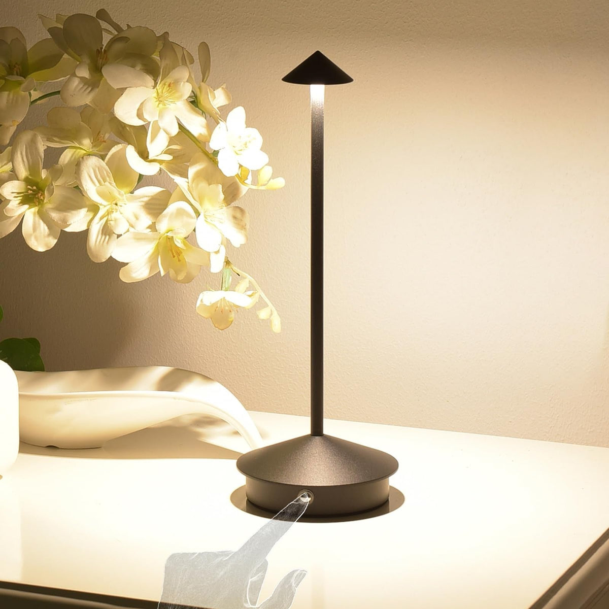 Cordless LED Desk Lamp Touch Control Dimmable 3 Light Settings