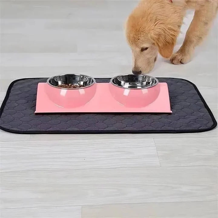 Dog Pee Pad with Reusable Four Layer Construction and TPU Base