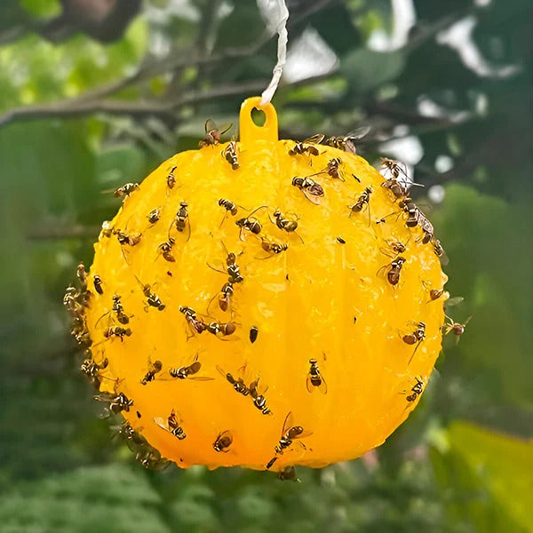 Hanging Fly Trap with Adhesive Sticky Layer, Set of 6