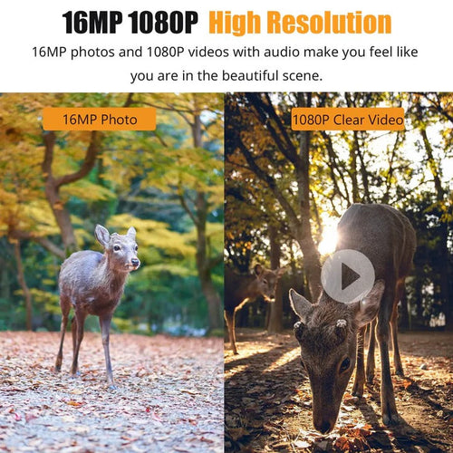 1080P Trail Camera with Motion Sensor and Night Vision LEDs