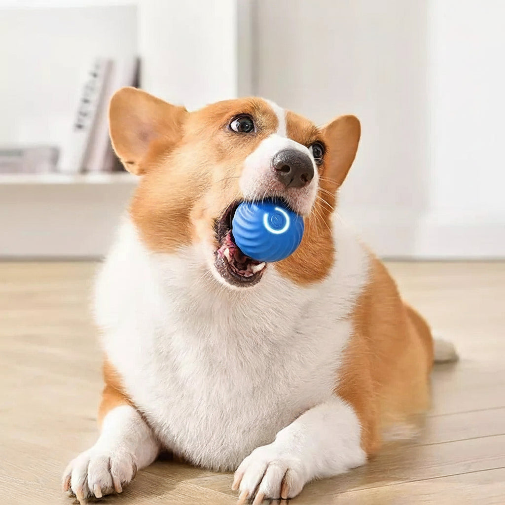 Motion Activated Rolling Ball Moving Toy for Pets