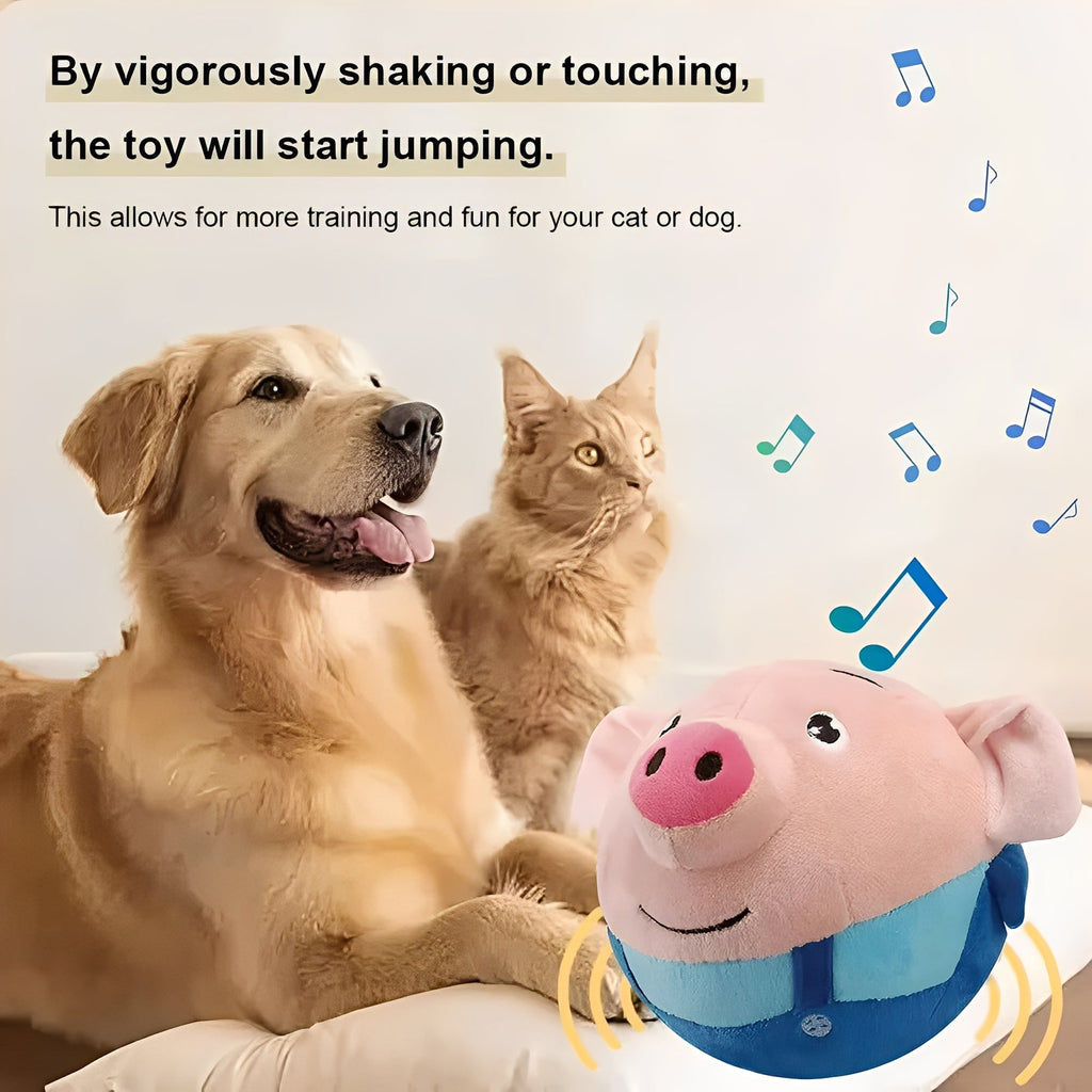 Dog Toy Ball with Touch Activated Music and Motion