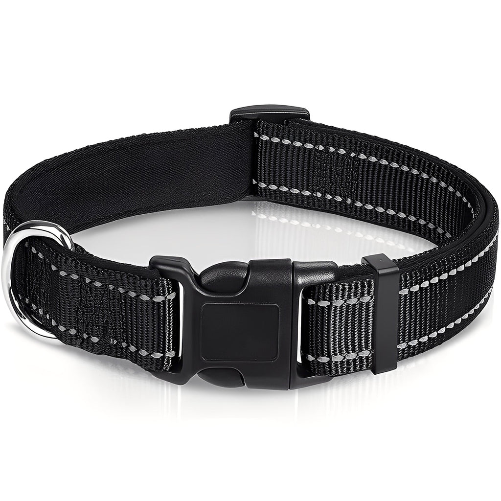 Adjustable Nylon Dog Collar with Clip Buckle