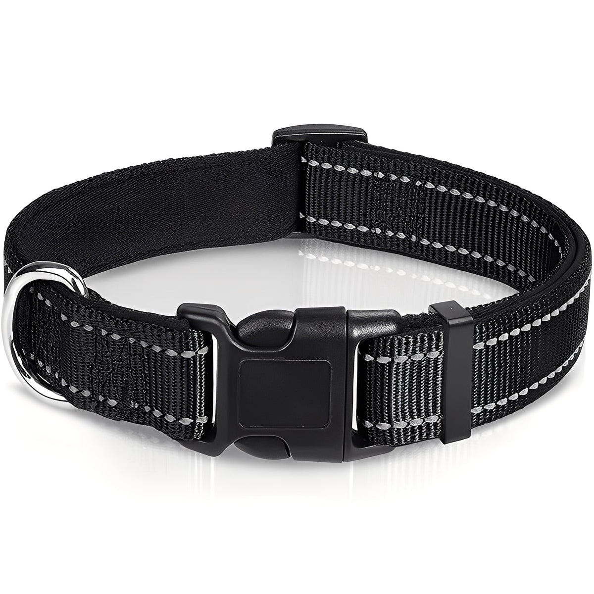 Adjustable Nylon Dog Collar with Clip Buckle