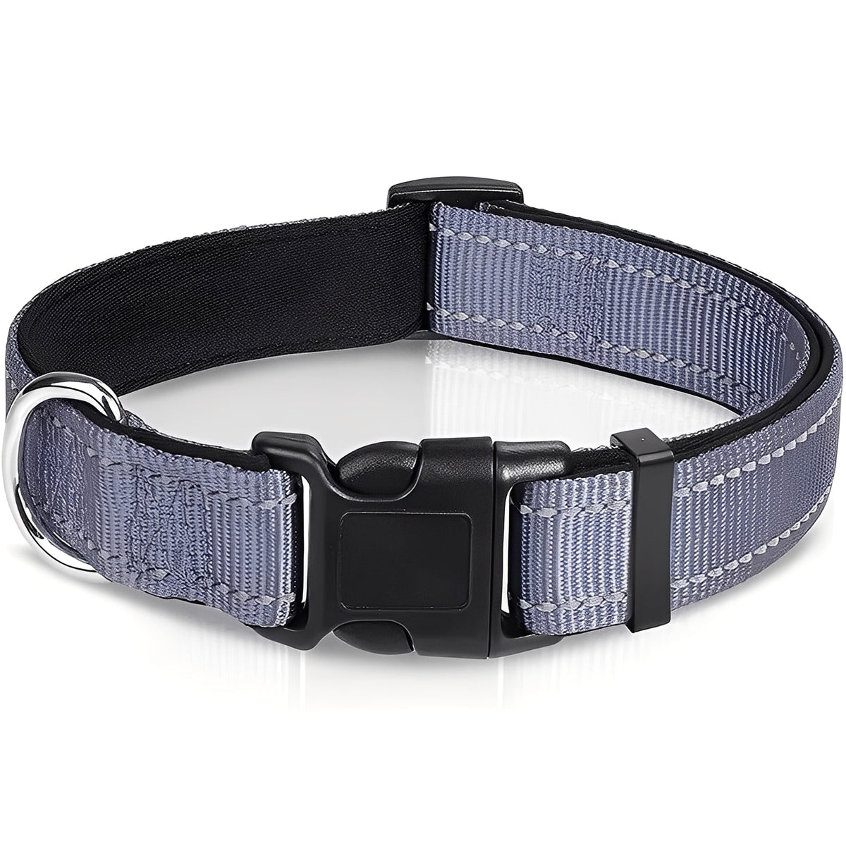 Adjustable Nylon Dog Collar with Clip Buckle