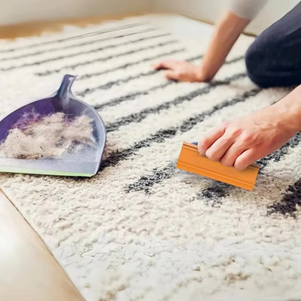 Portable Pet Hair Scraper for Carpets and Furniture