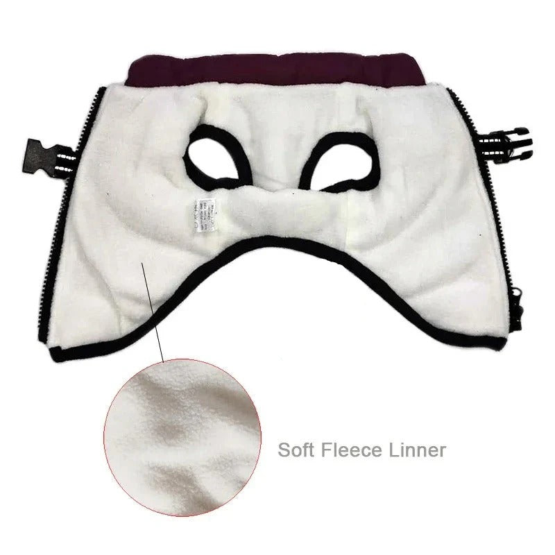 Insulated Dog Coat with Built In Harness for Cold Weather