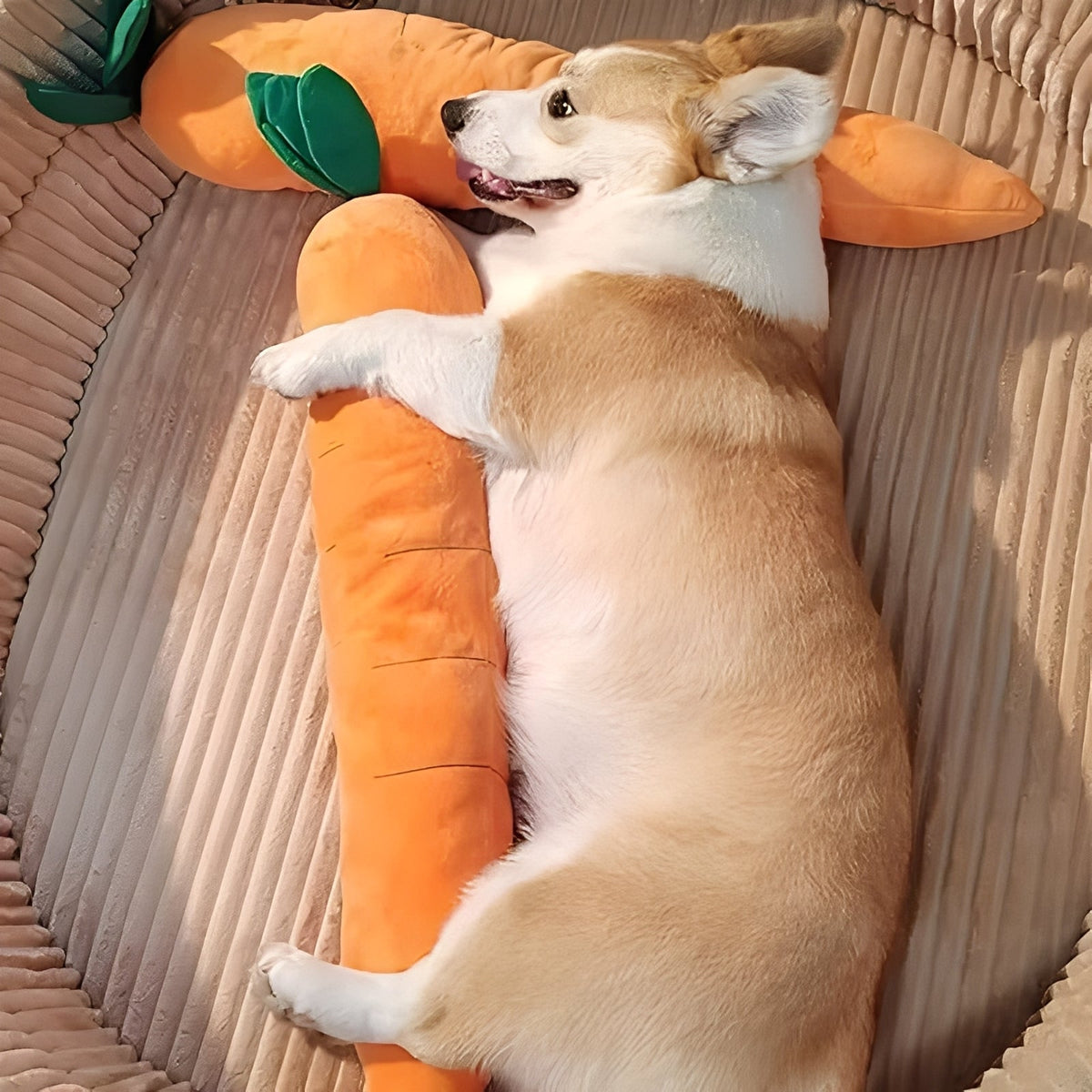 Plush Dog Toy with Sound in Carrot Shape