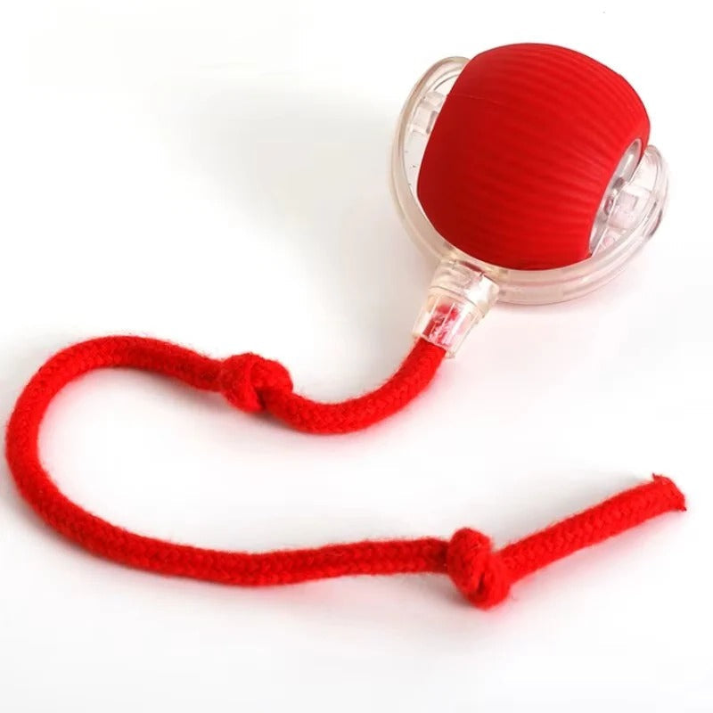 Motorized Rolling Cat Toy with Fiber Tail Design