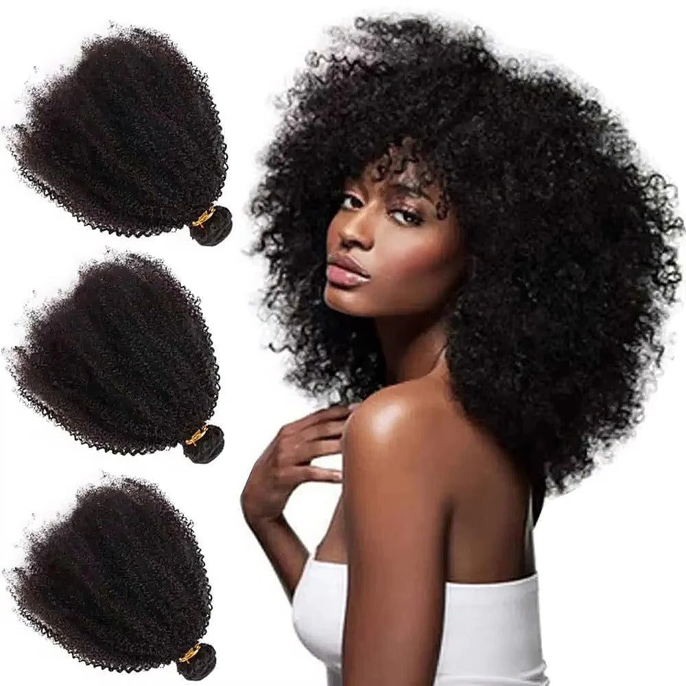 Brazilian Virgin Human Hair Bundles of Afro Kinky Curly Style