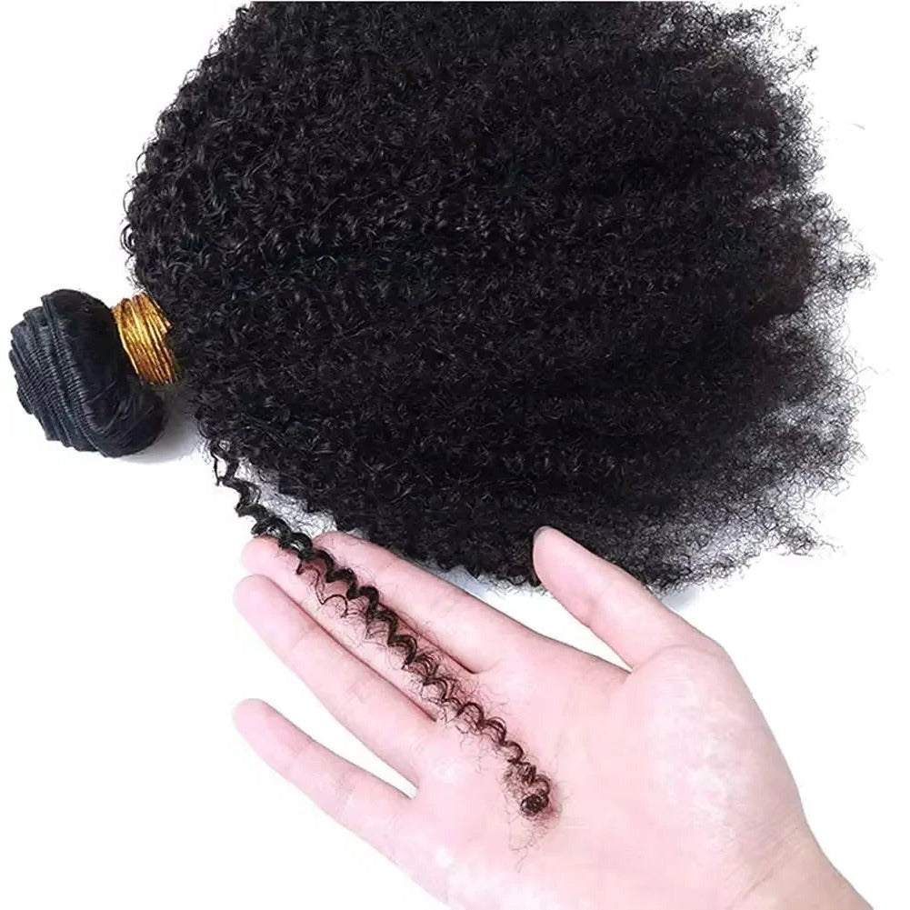 Brazilian Virgin Human Hair Bundles of Afro Kinky Curly Style