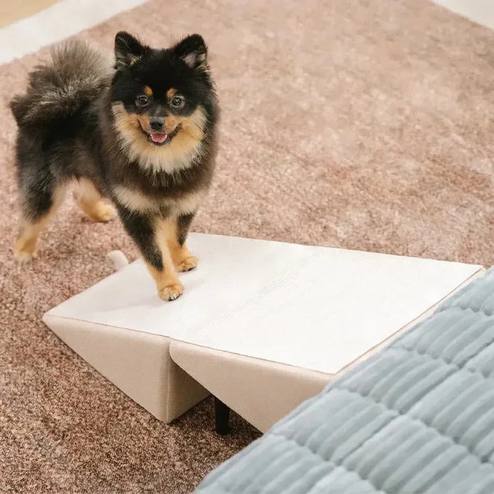 Adjustable 2 in 1 Pet Ramp and Step Stool