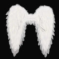 Foldable Feather Angel Wings for Costumes and Cosplay