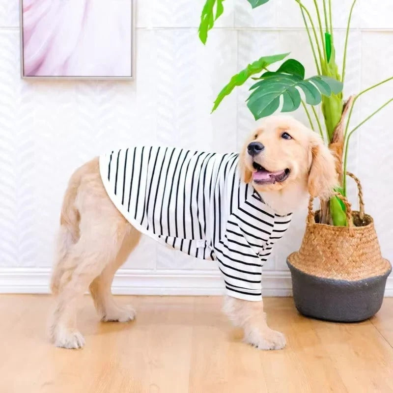 Large Breed Dog Shirt with Breathable Cotton Fabric