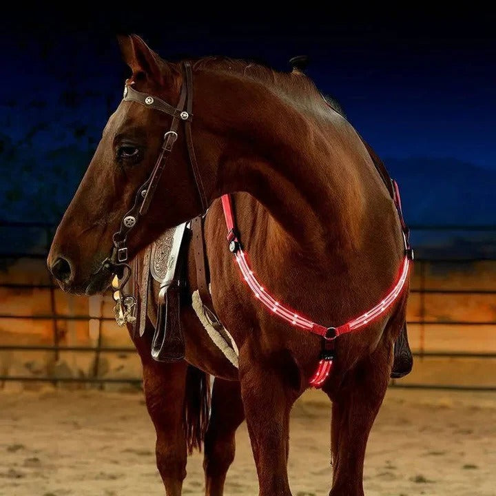 LED Light Up Breast Collar for Horses