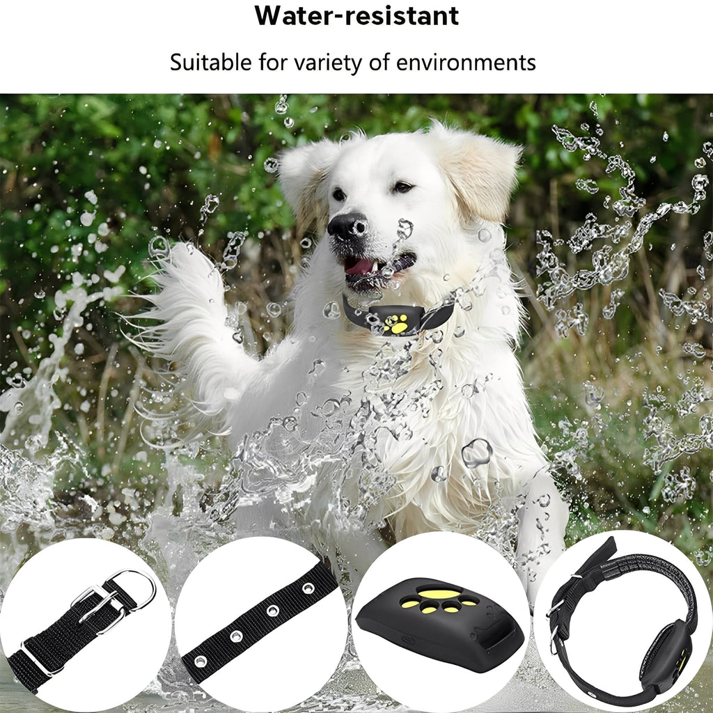 GPS Pet Collar with App Location Features and Adjustable Strap